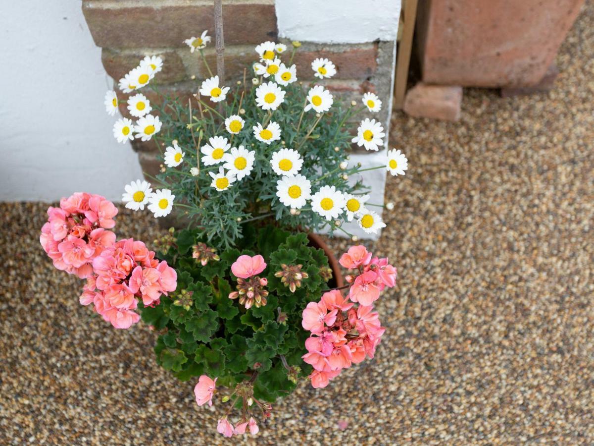 Little England Cottage Milborne Saint Andrew Esterno foto